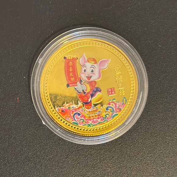 Colorful Pig Design Coins - Picture 5 of 8